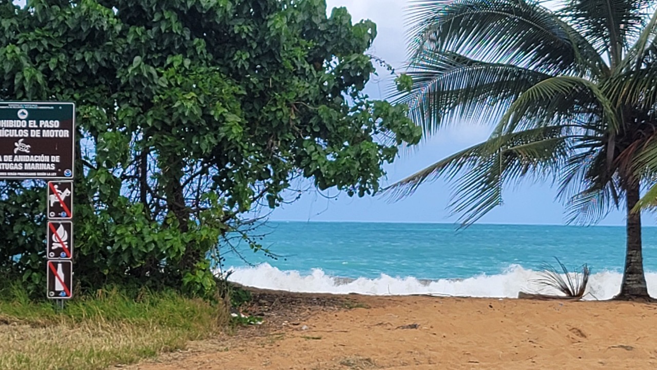 Photo of Others in Playa Fortuna