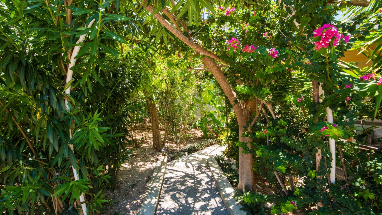 Photo of Outdoor in Venetian Road Settlement