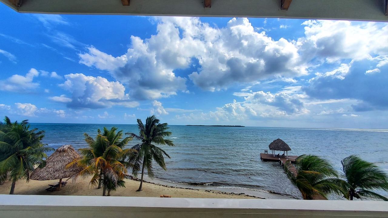 Photo of Others in Placencia