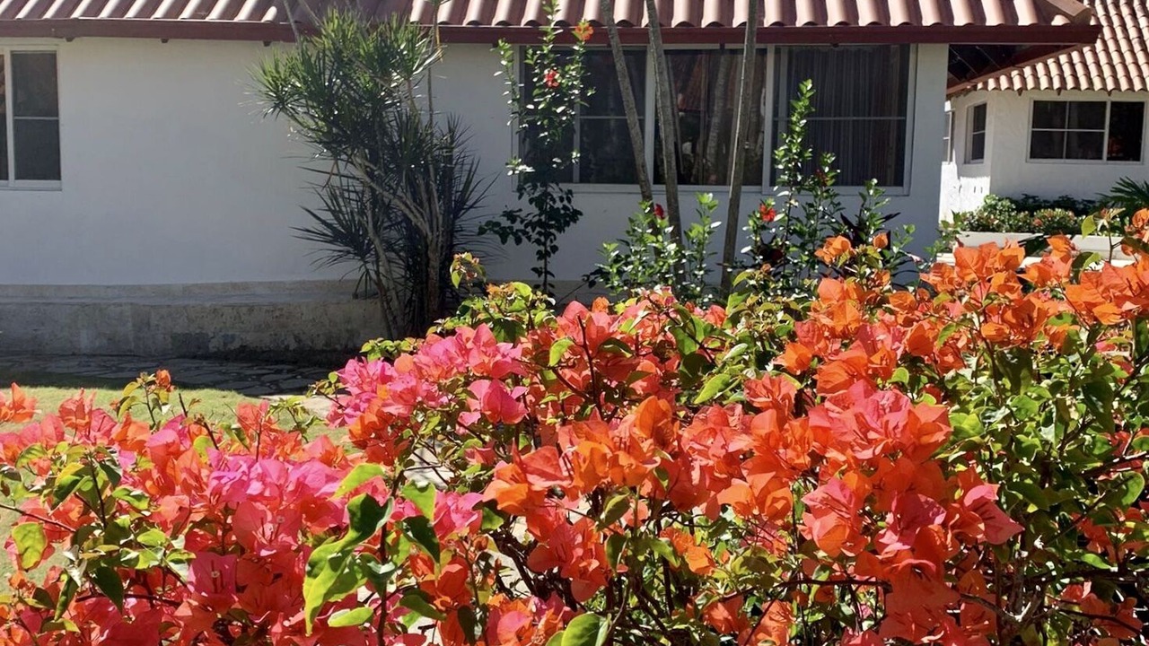 Photo of Outdoor in Reparto Ibarra