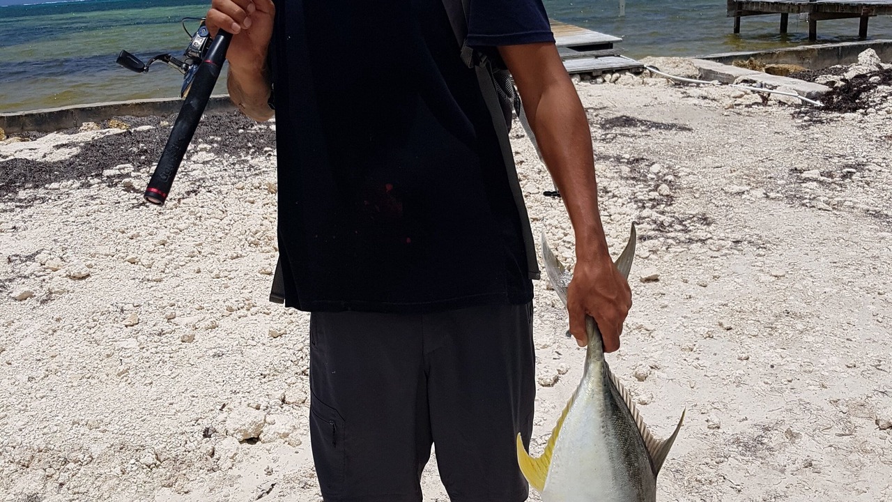 Photo of Others in San Pedro