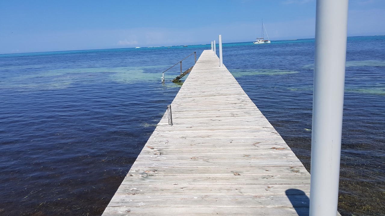 Photo of Others in San Pedro
