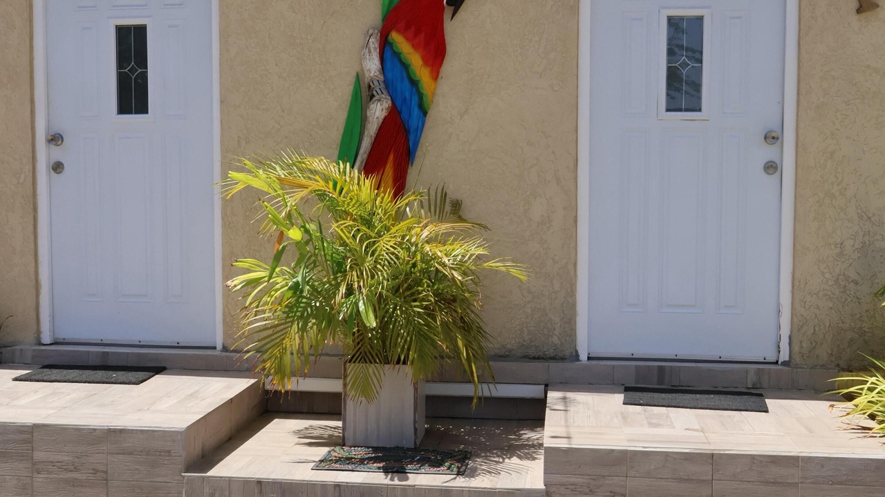 Photo of Outdoor in Palm Beach