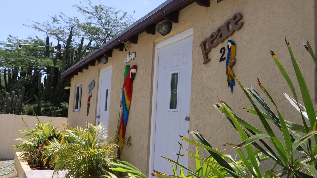 Photo of Outdoor in Palm Beach