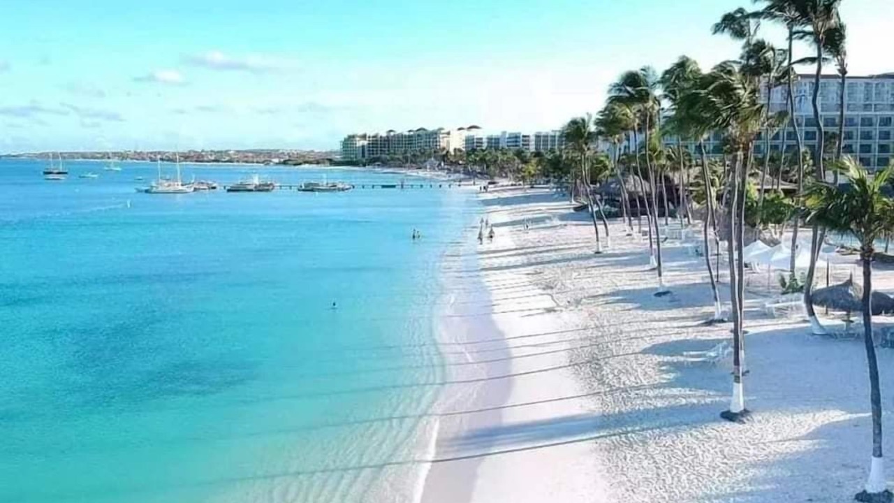 Photo of Others in Palm Beach
