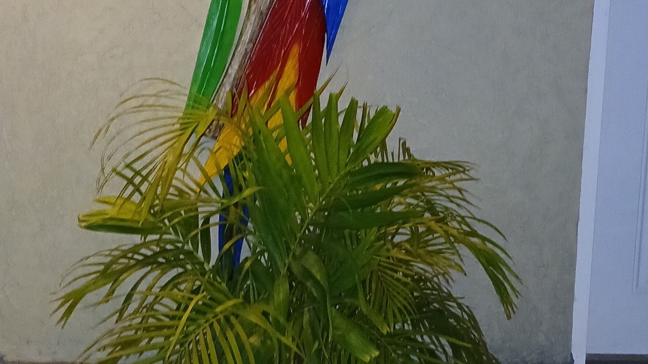 Photo of Outdoor in Palm Beach