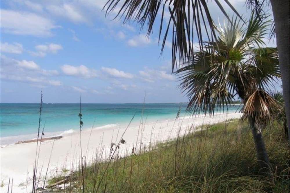Photo of Outdoor in Double Bay