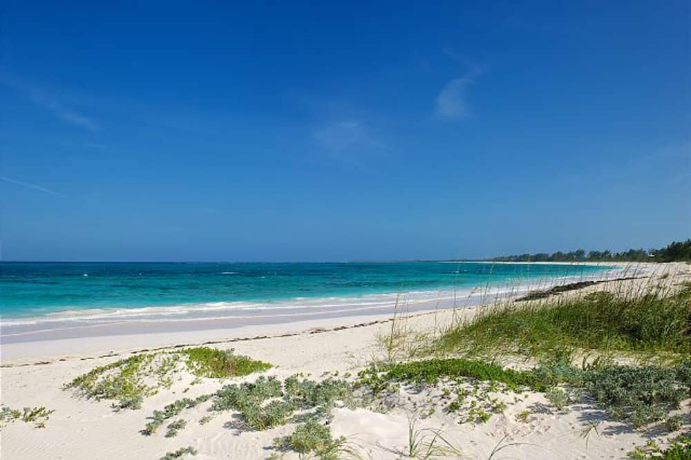 Photo of Outdoor in Double Bay