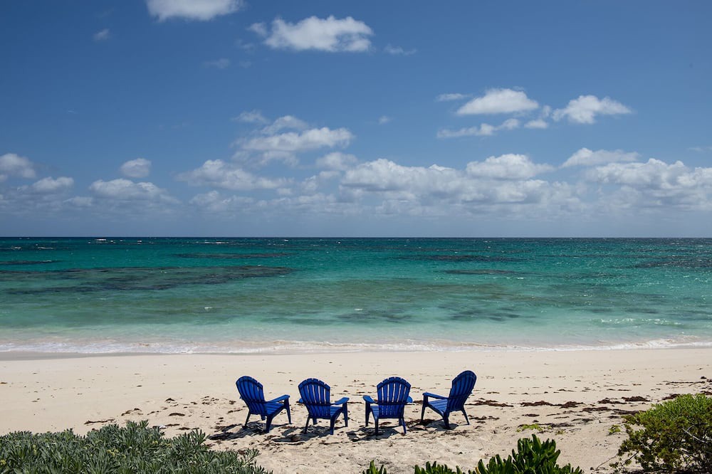 Photo of Others in North Palmetto Point