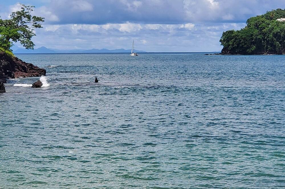 Photo of Others in Castries
