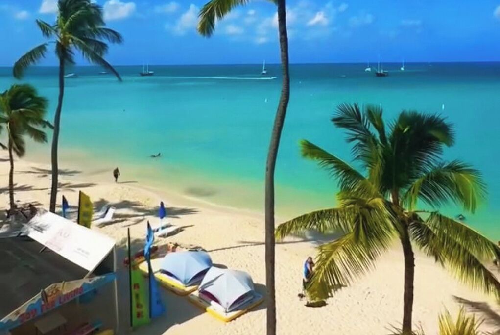 Photo of Others in Palm Beach