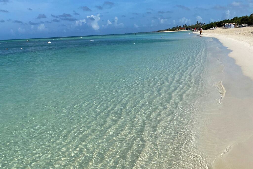 Photo of Others in Palm Beach