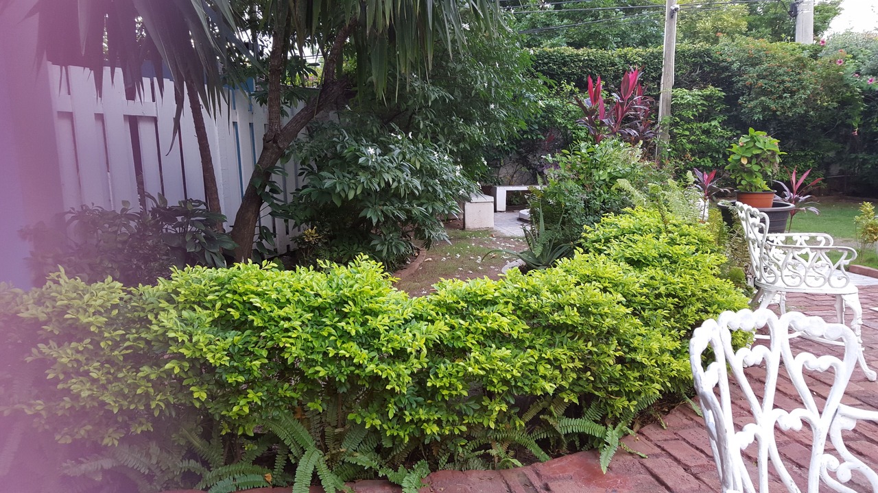 Photo of Outdoor in New Kingston