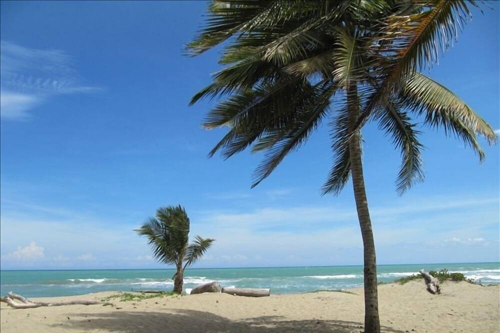 Photo of Others in Cabarete