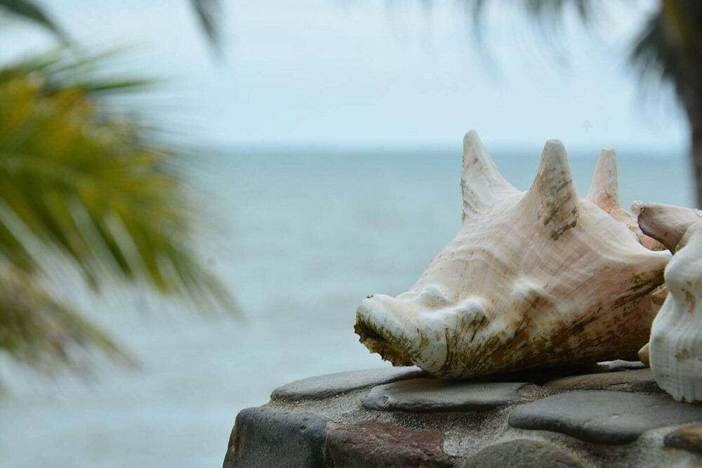 Photo of Others in Seine Bight Village