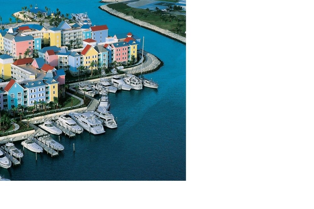 Photo of Others in Paradise Island