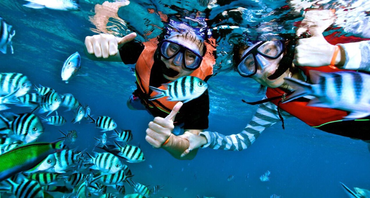 Photo of Others in Long Bay