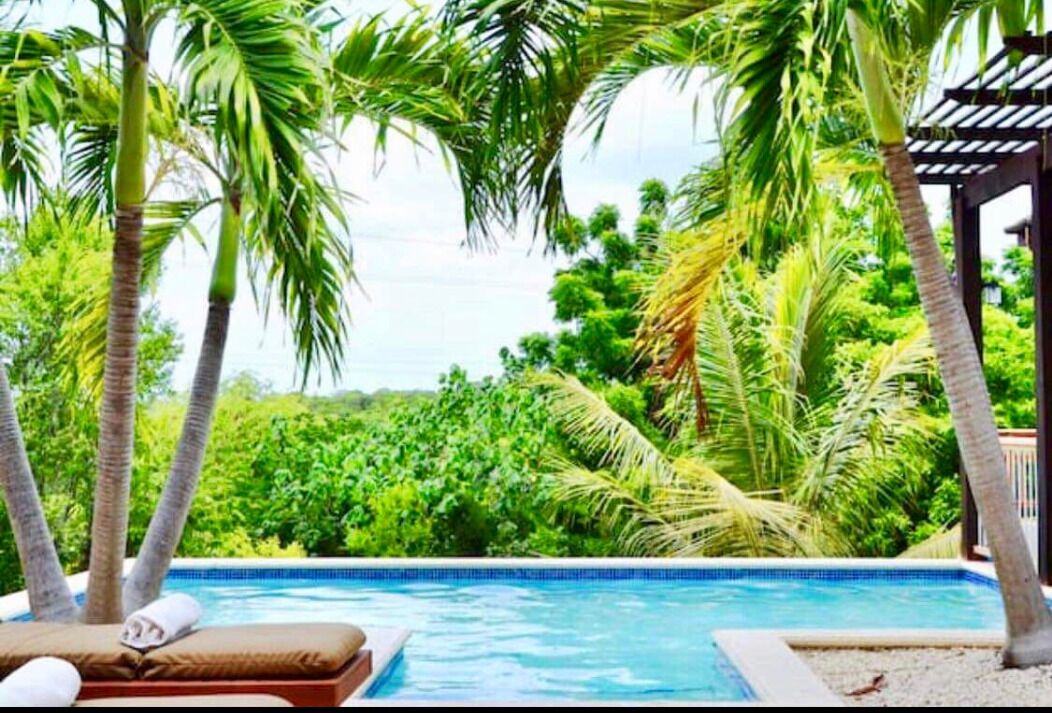 Photo of Outdoor in Long Bay