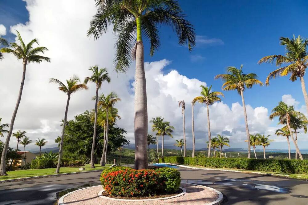 Photo of Outdoor in Cabezas