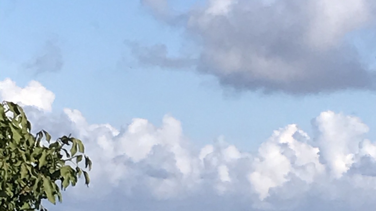 Photo of Others in Nassau