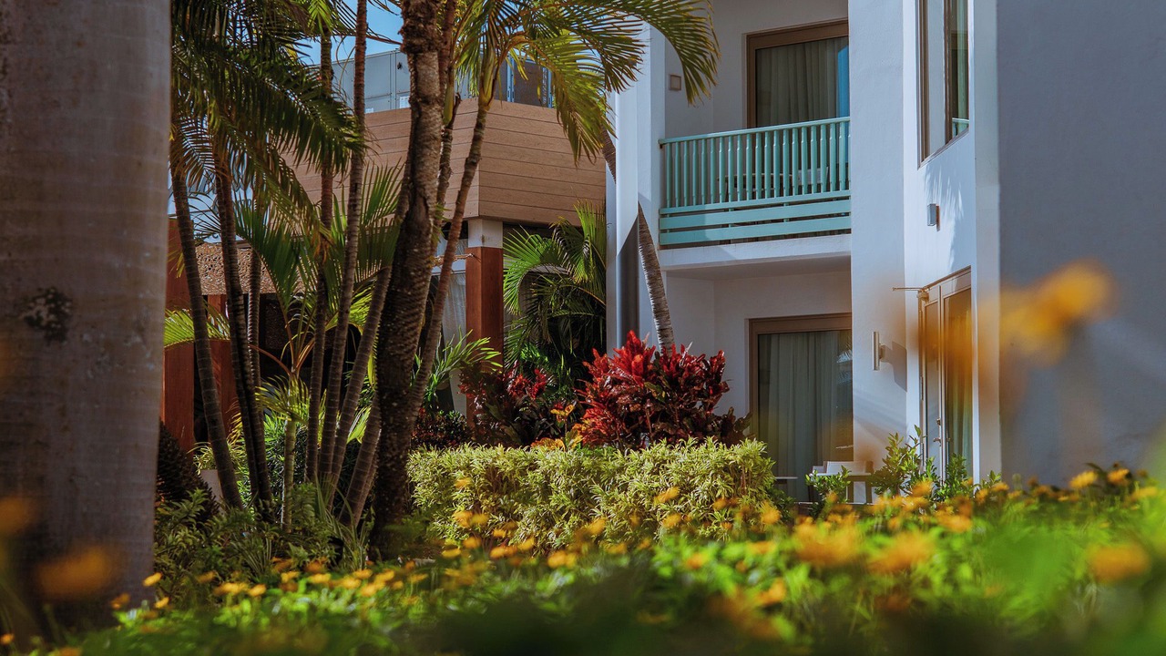 Photo of Outdoor in Palm Beach