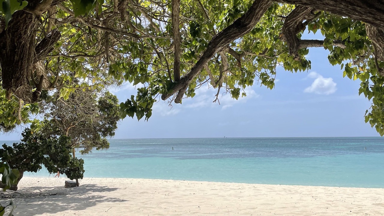Photo of Others in Palm Beach