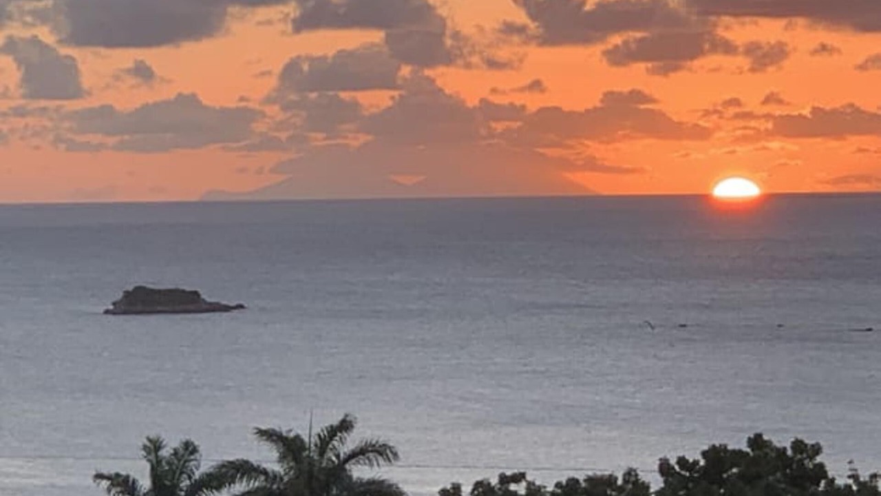 Photo of Others in Paradise View