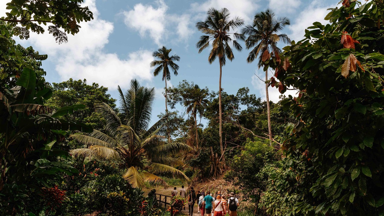 Photo of Others in Soufriere Quarter