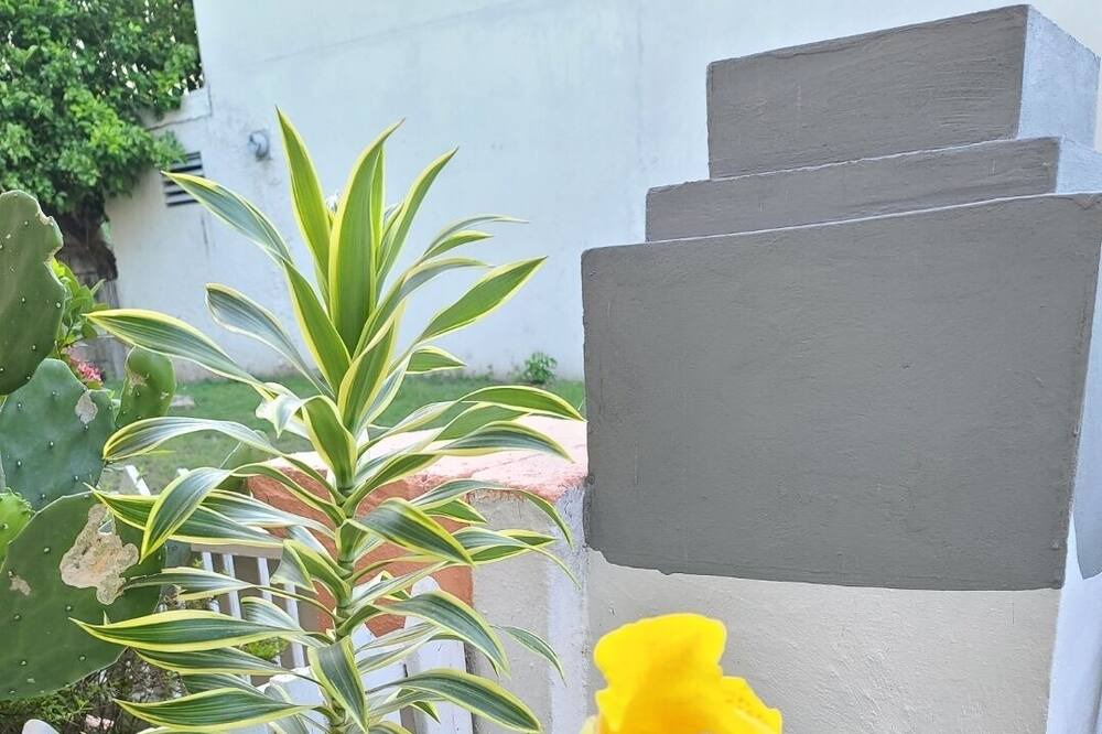 Photo of Outdoor in Saint Andrew