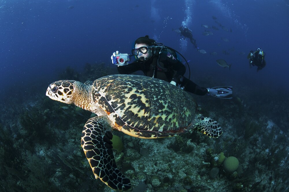 Photo of Others in San Pedro