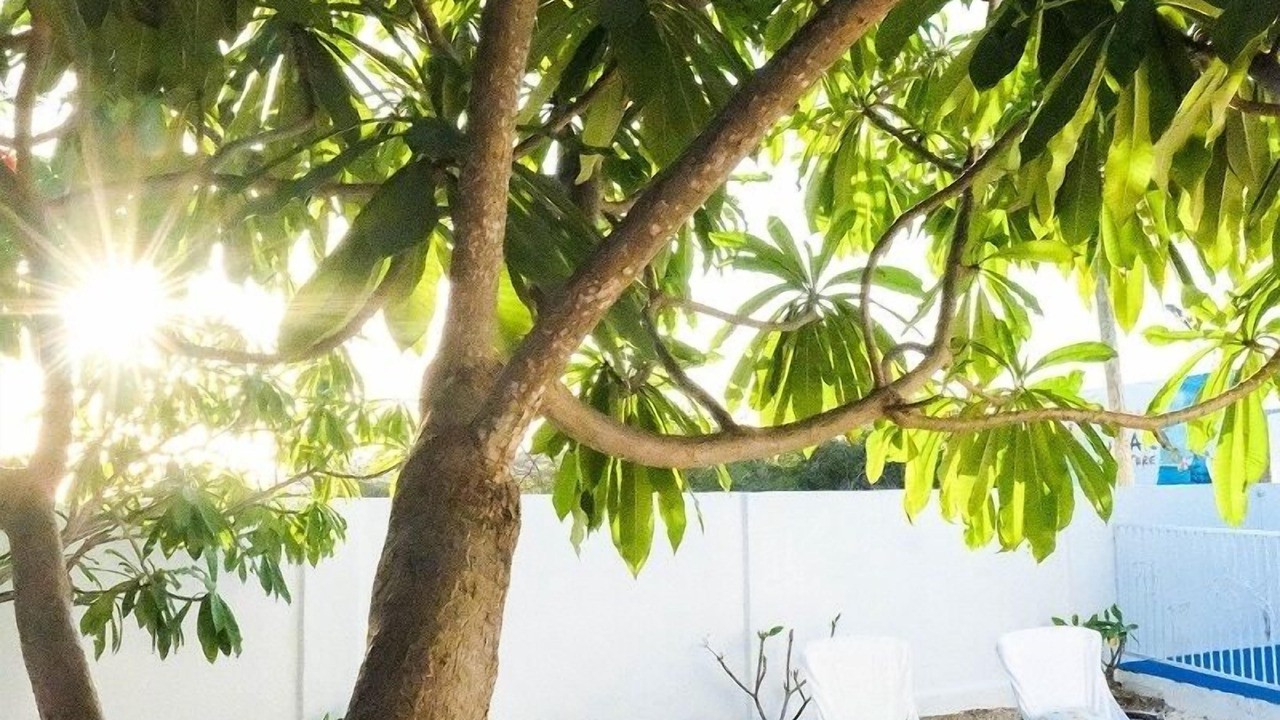 Photo of Outdoor in Pos Chiquito