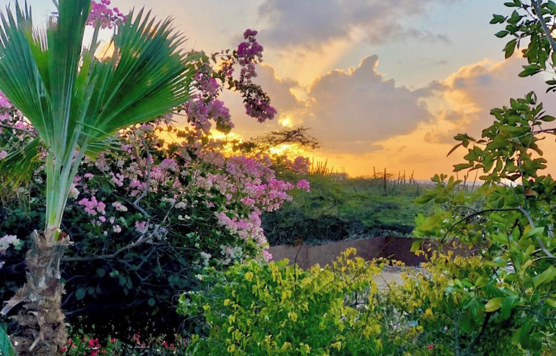 Photo of Outdoor in Boegoeroei