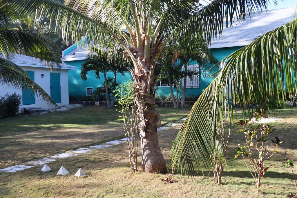 Photo of Outdoor in Rainbow Bay