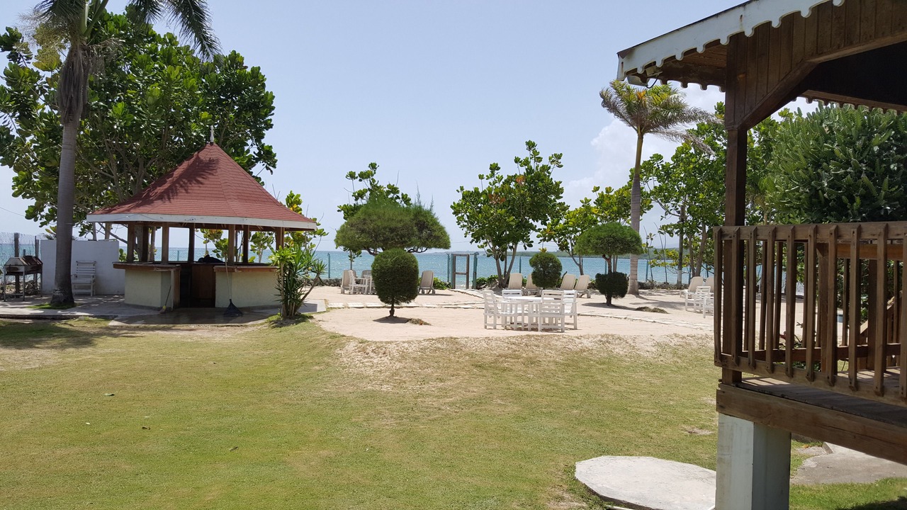 Photo of Others in St. Ann's Bay