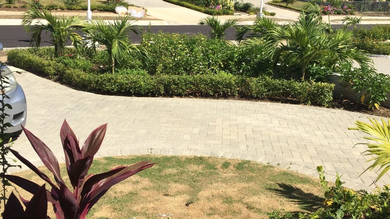 Photo of Outdoor in St. Ann's Bay