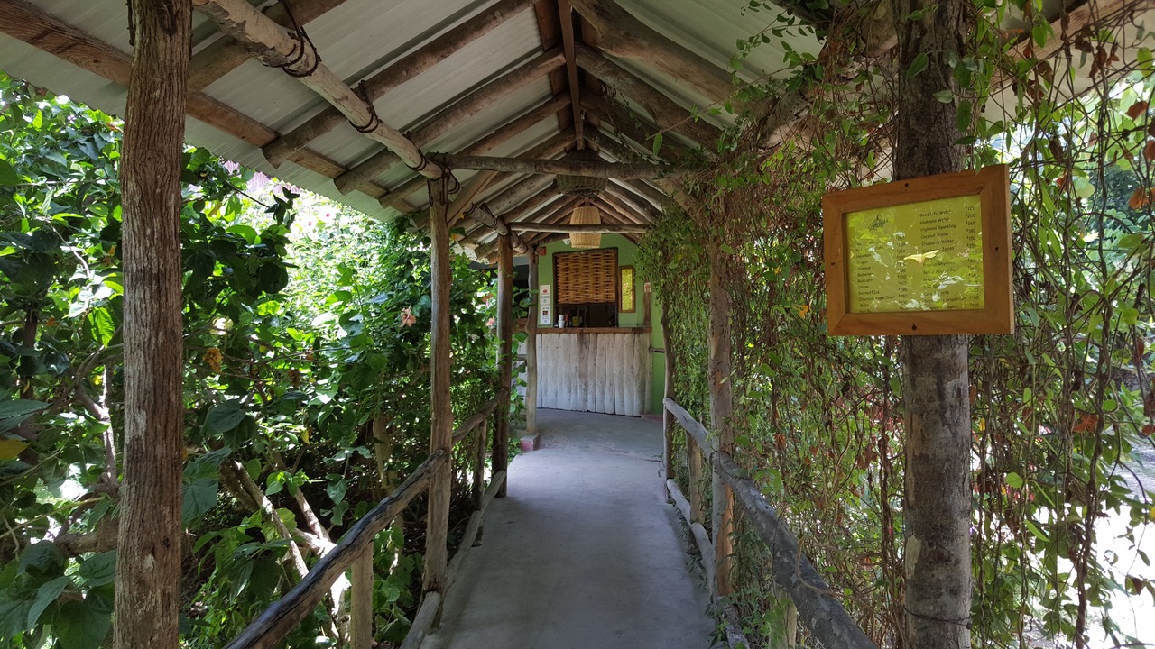 Photo of Outdoor in St. Ann's Bay