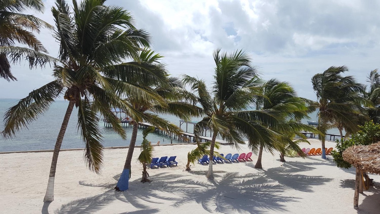 Photo of Others in Caye Caulker