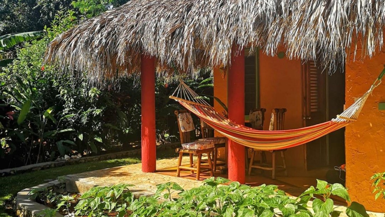 Photo of Others in Las Galeras