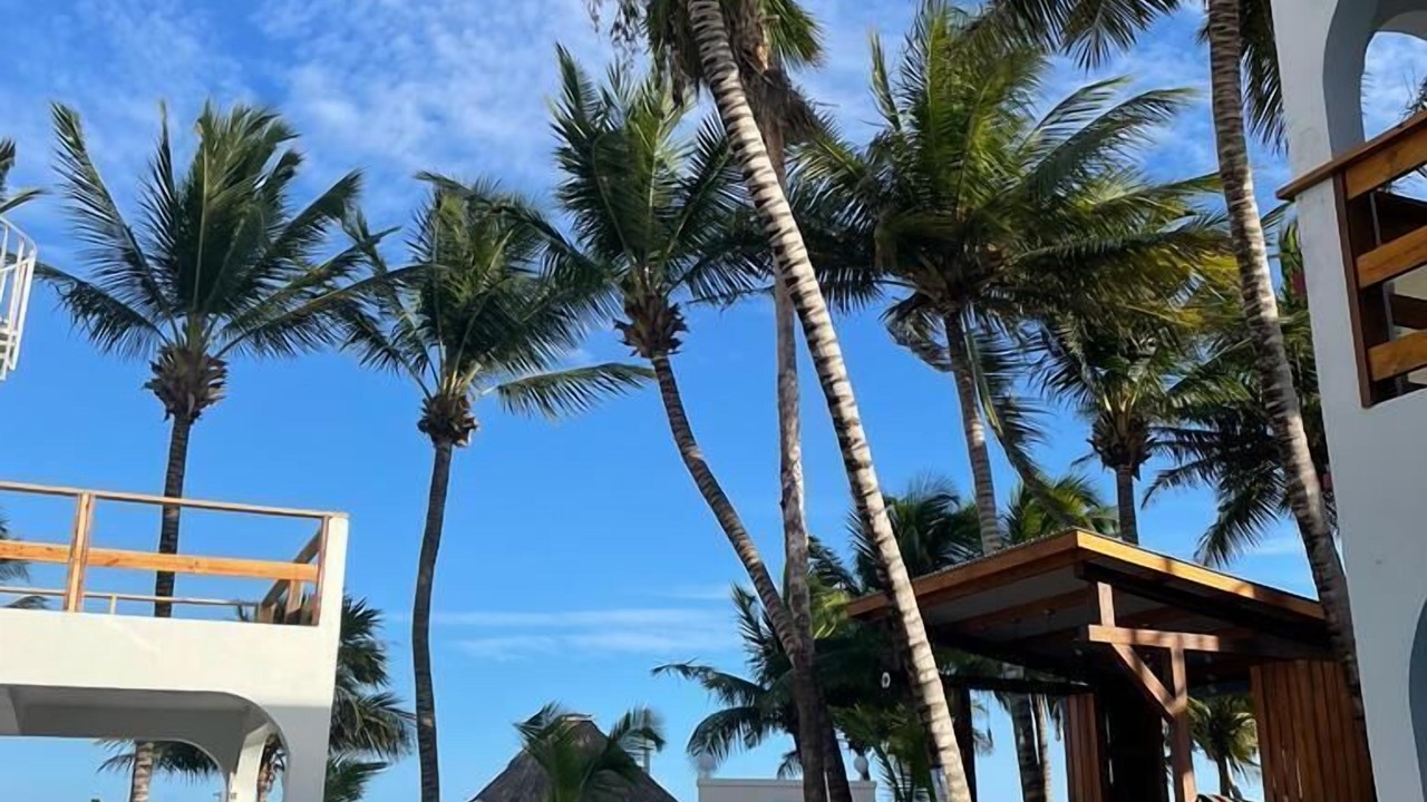 Photo of Outdoor in San Pedro