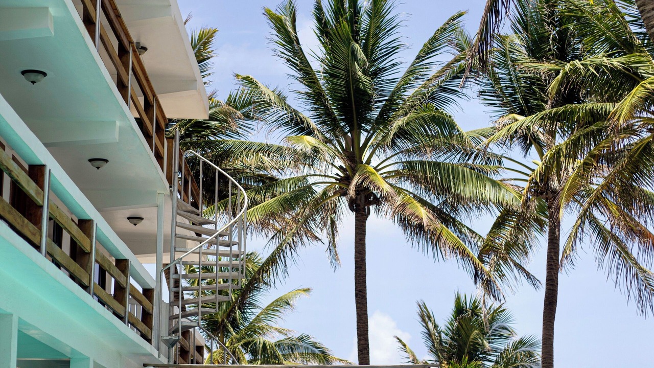 Photo of Outdoor in San Pedro