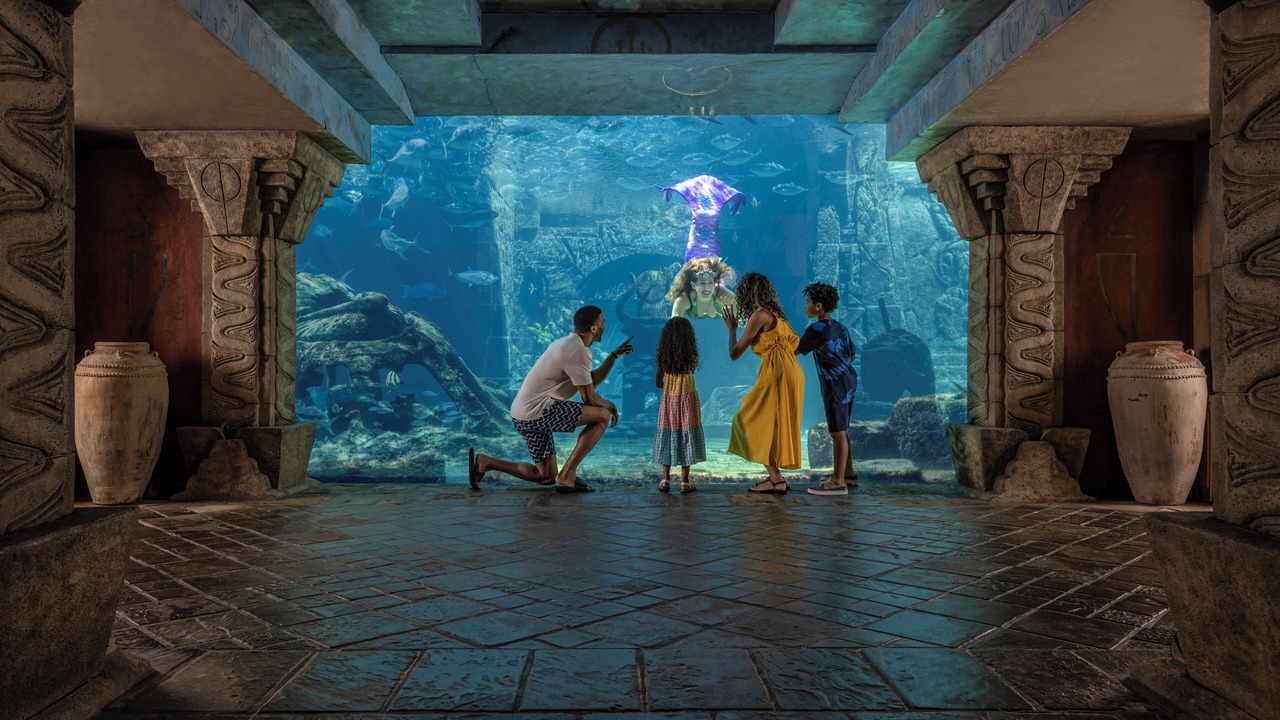 Photo of Others in Paradise Island