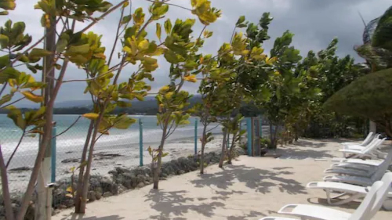 Photo of Others in St. Ann's Bay