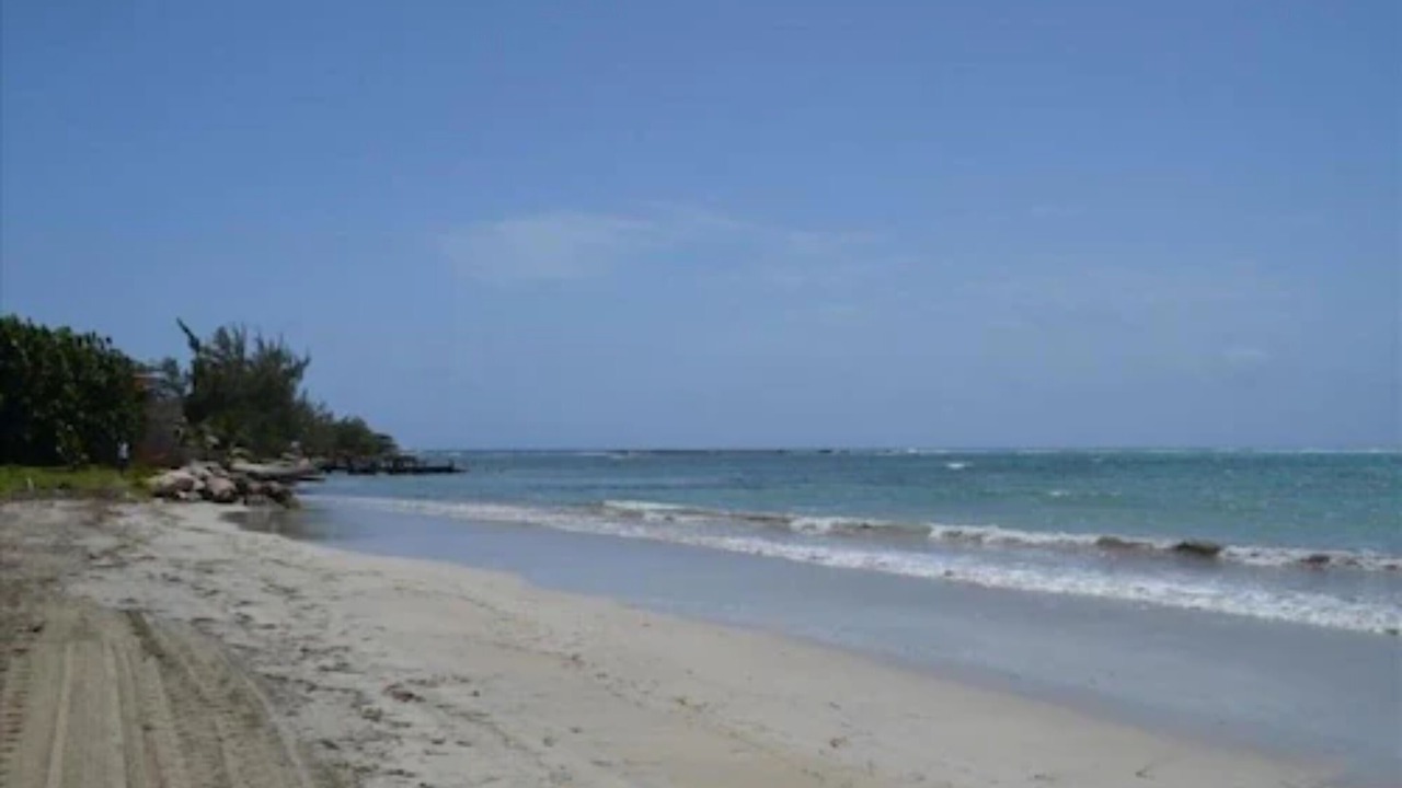 Photo of Others in St. Ann's Bay