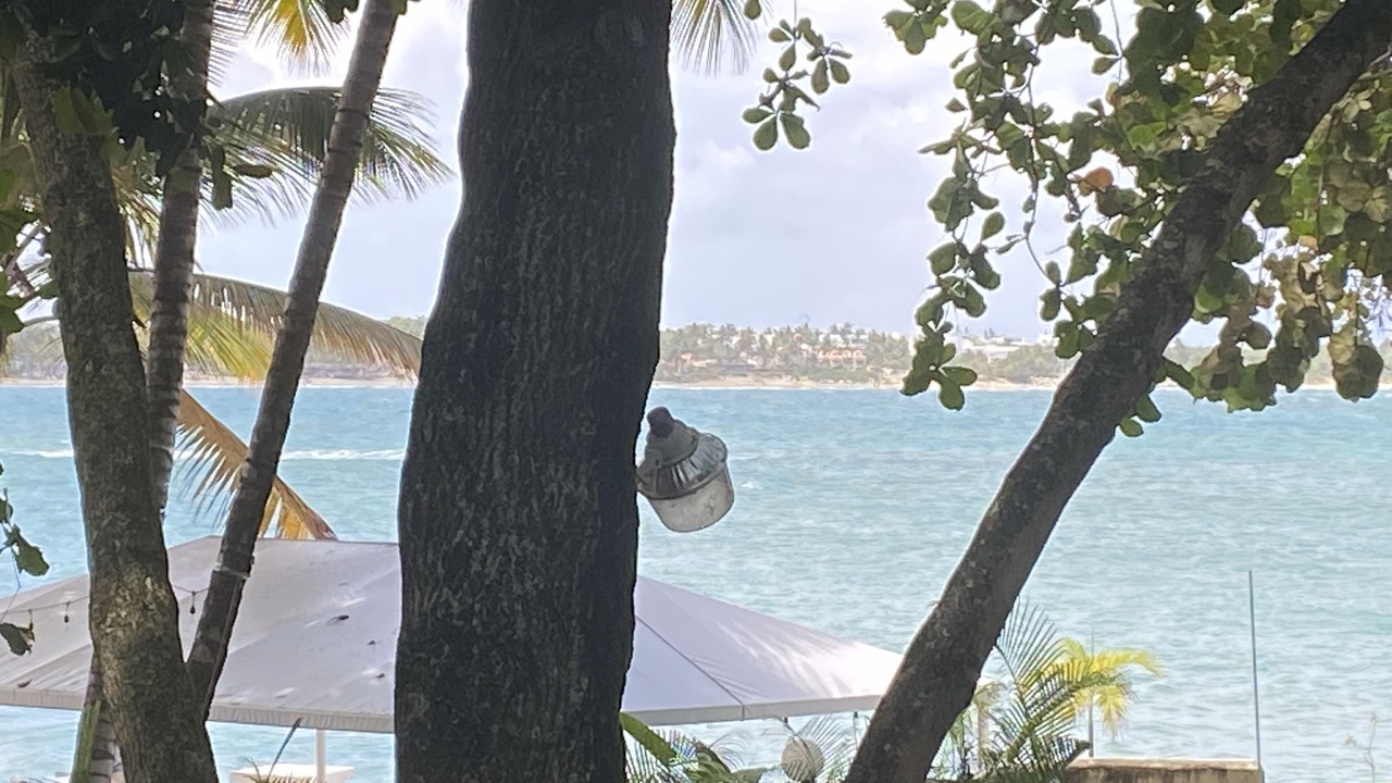 Photo of Others in Cabarete
