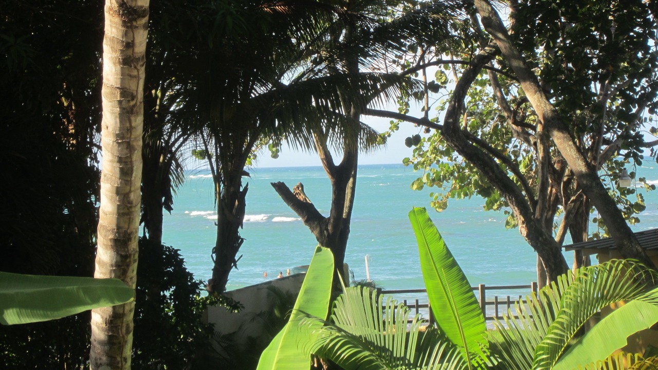 Photo of Others in Cabarete