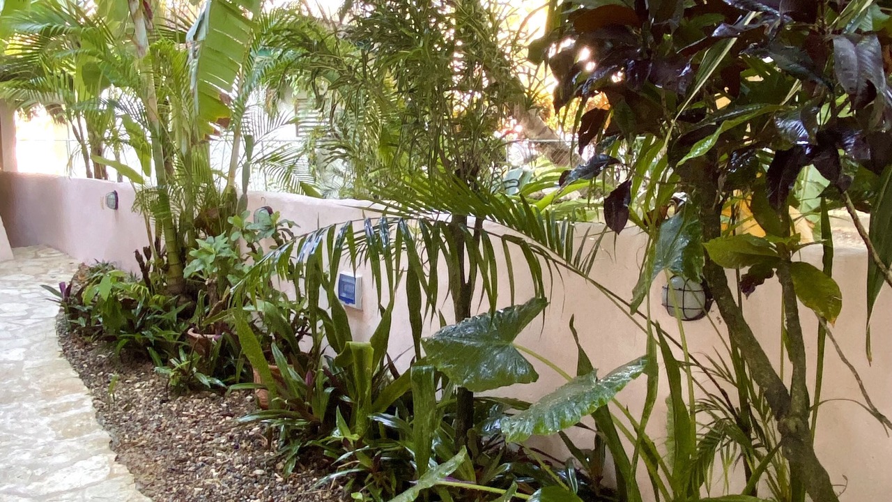 Photo of Outdoor in Cabarete