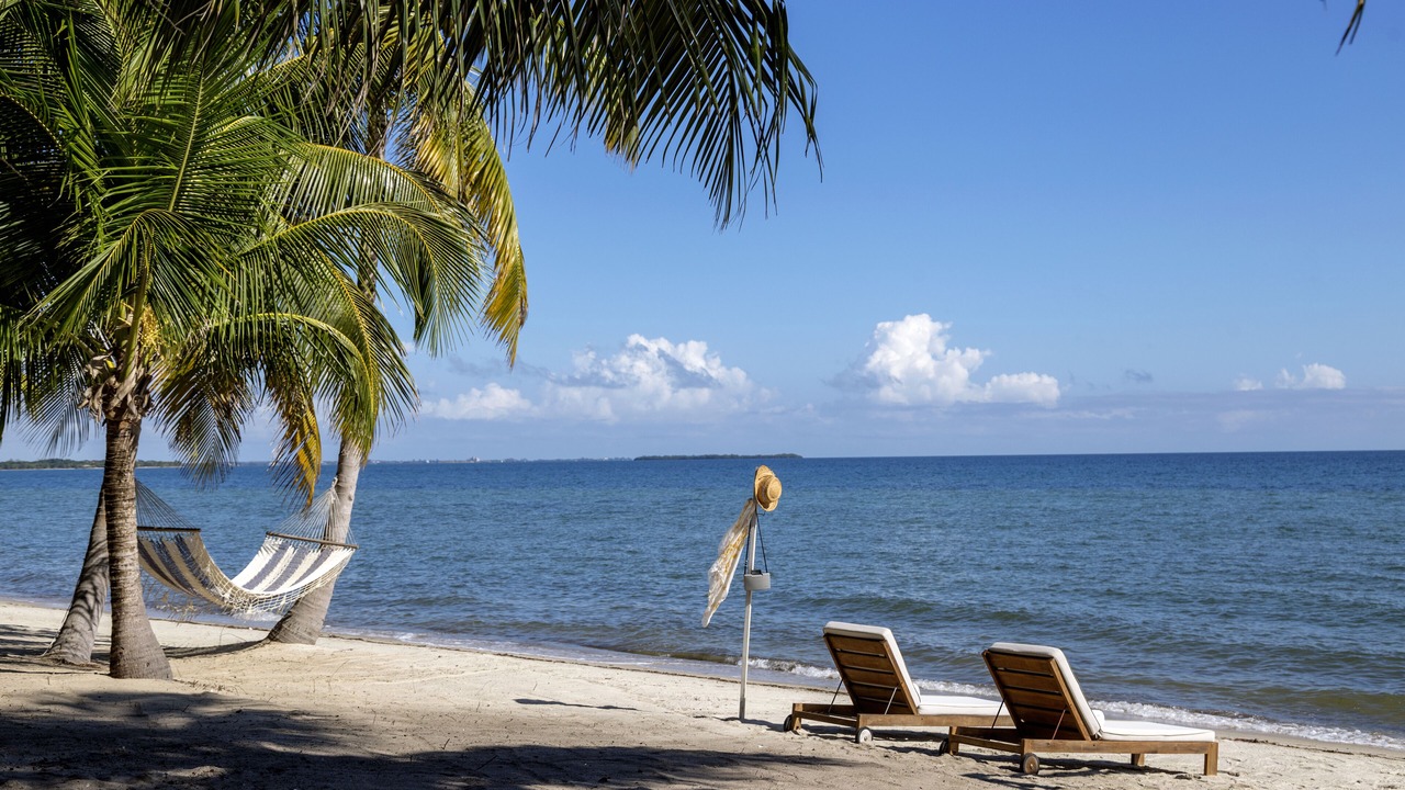 Photo of Others in Placencia