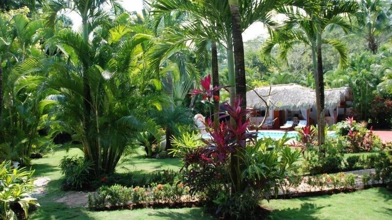 Photo of Outdoor in Las Terrenas