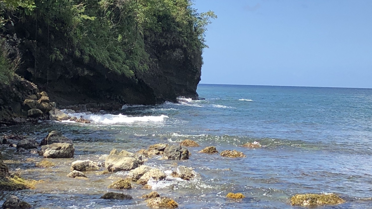 Photo of Others in Marigot Bay