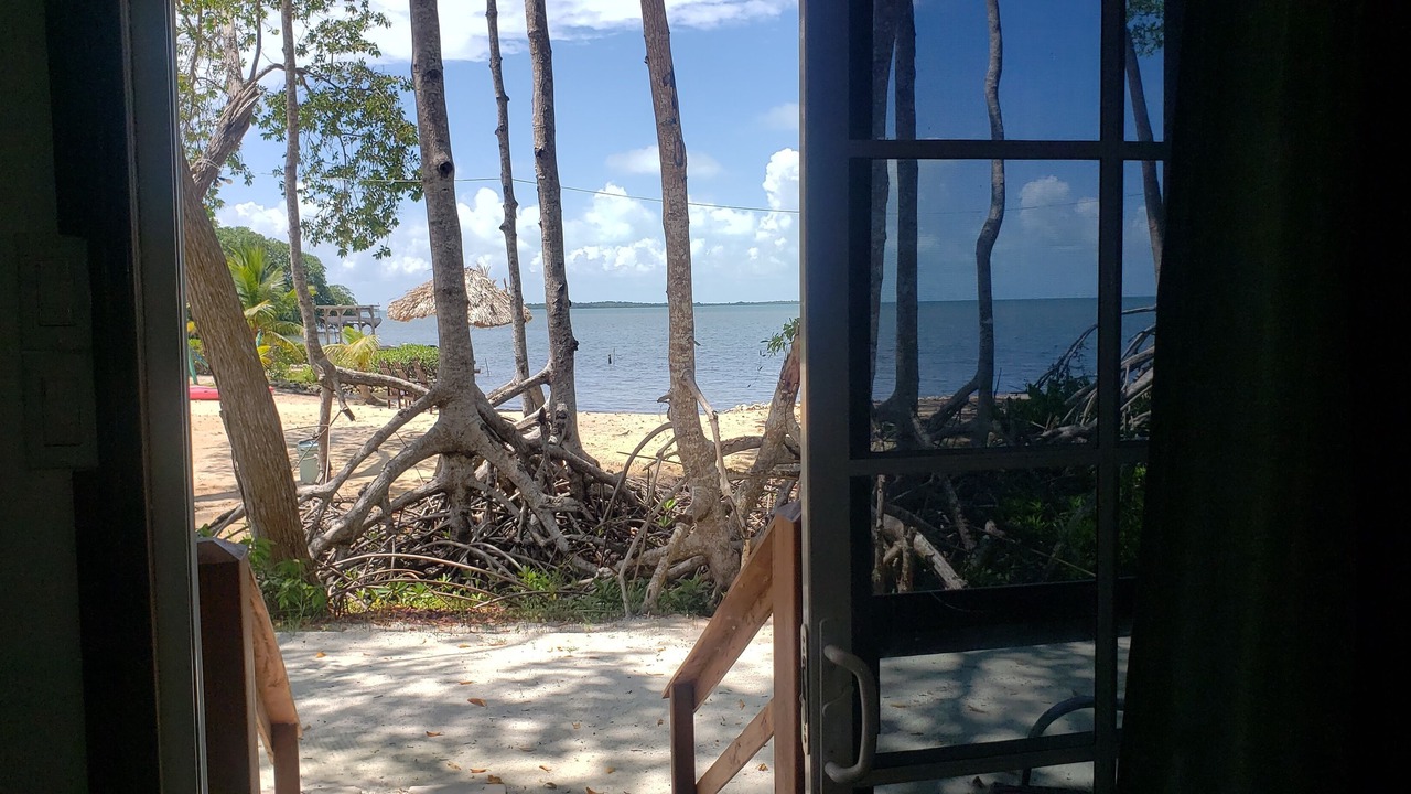Photo of Others in Belize City